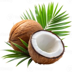 coconut