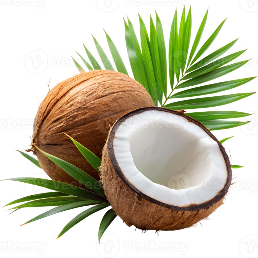 coconut coconut