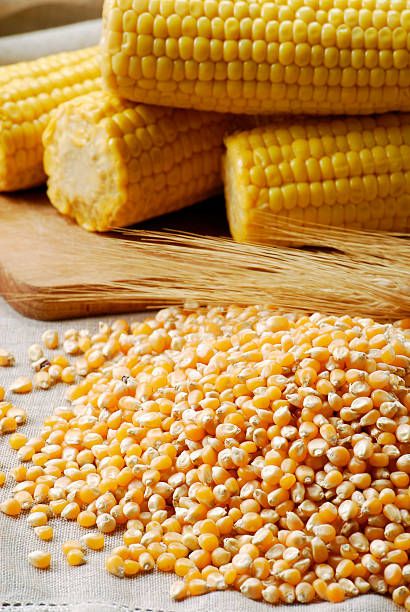yellow maize corn yellow maize corn