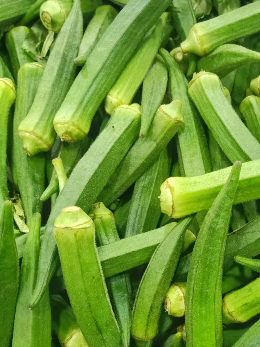 okra okra