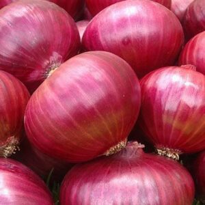 onion